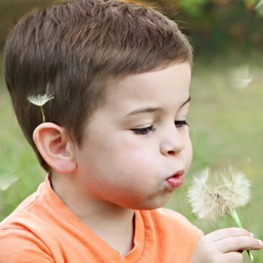 a child blowing a dandelion