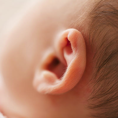 closeup photo of a baby's ear