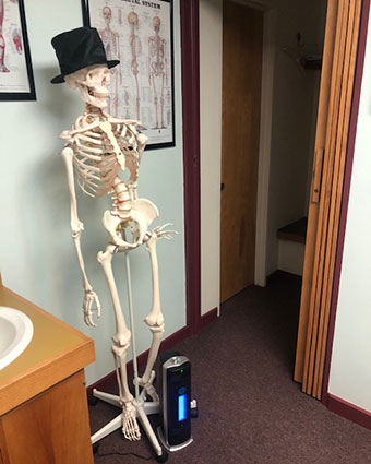 Skeleton standing in office