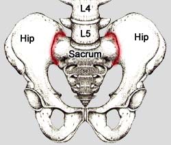 Subluxation where the sacrum joins the pelvis can cause uterine constraint, preventing the baby from assuming the optimal birth position.