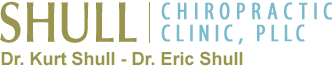 Shull Chiropractic Clinic, PLLC logo - Home