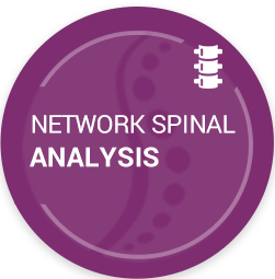 Network Spinal Analysis