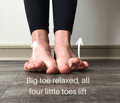 Little Toe Lifts