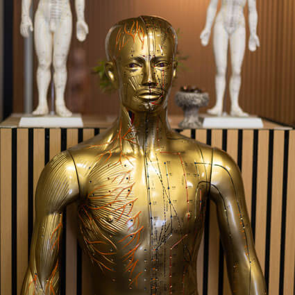 Forest Lake acupuncturist Joseph