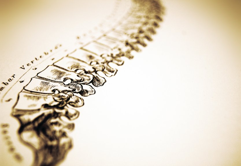 Spine picture