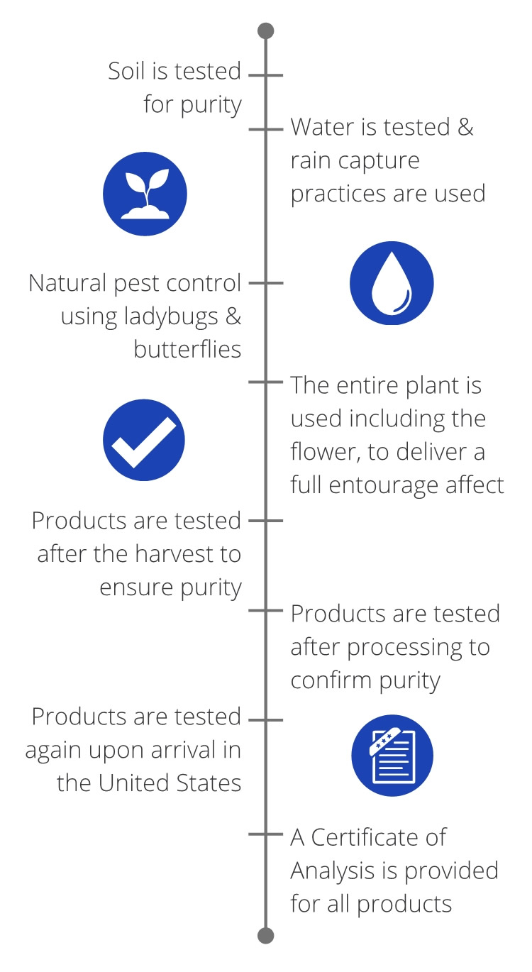 From Soil to Oil Timeline