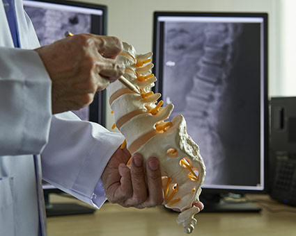 doctor pointing at a spine with a pen
