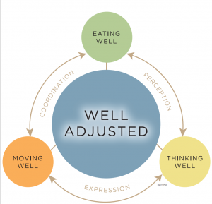 Wellness Cycle