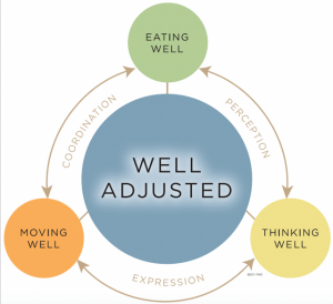 The Chiropractic Wellness Cycle