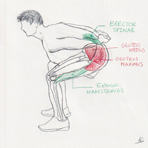Drawing of a person doing a squat