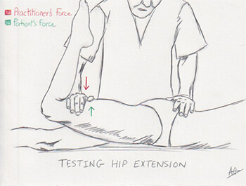 testing hip extension drawing