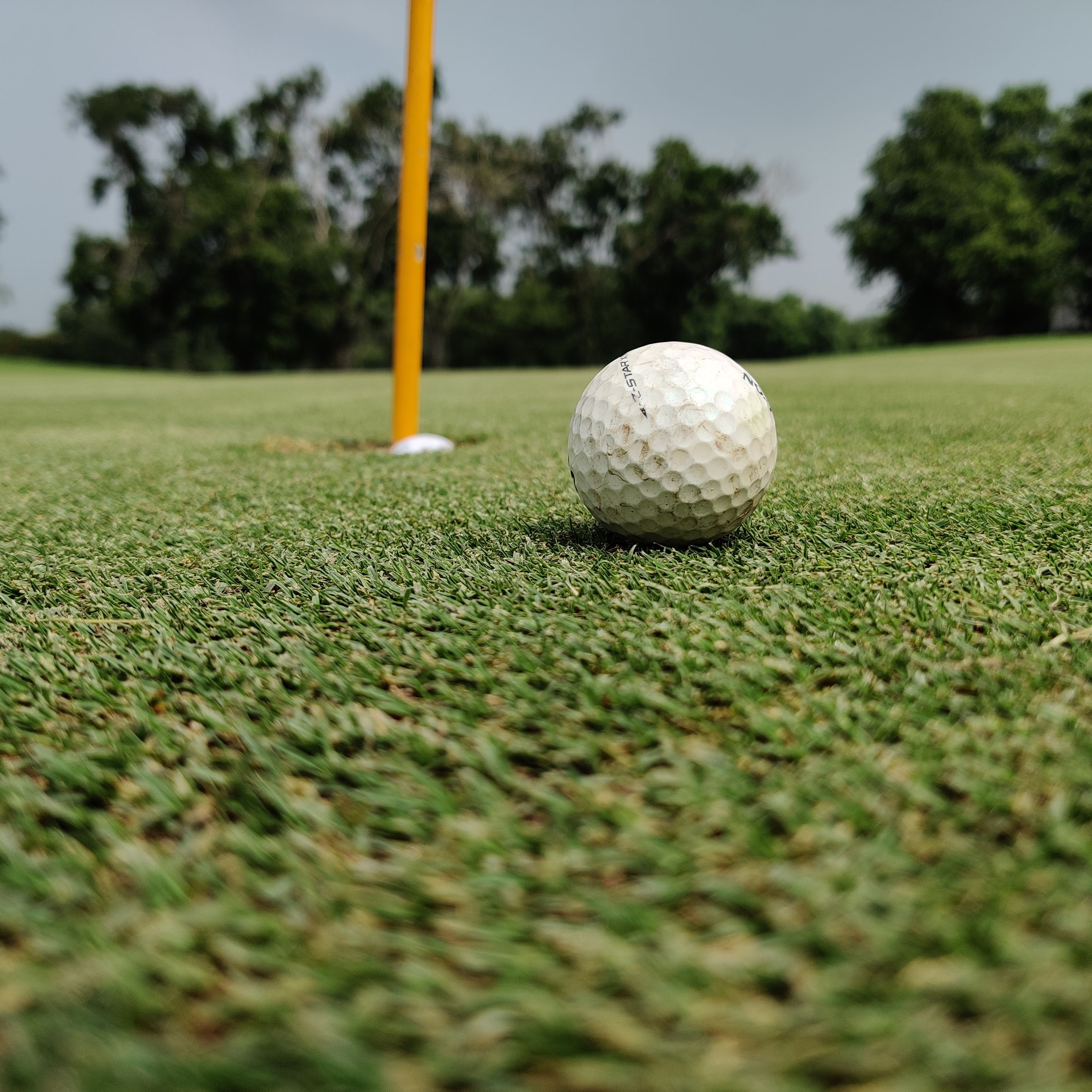 Golf ball near the hole on a lush green course in New Delhi, India, perfect for sports visuals.
