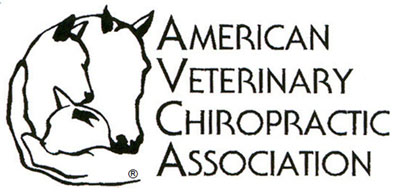 avca-logo