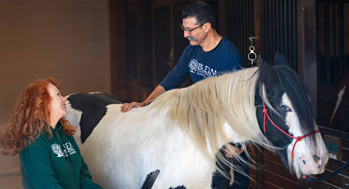 Dr. Bleem and his wife attending to a horse