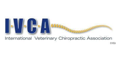 ivca-logo