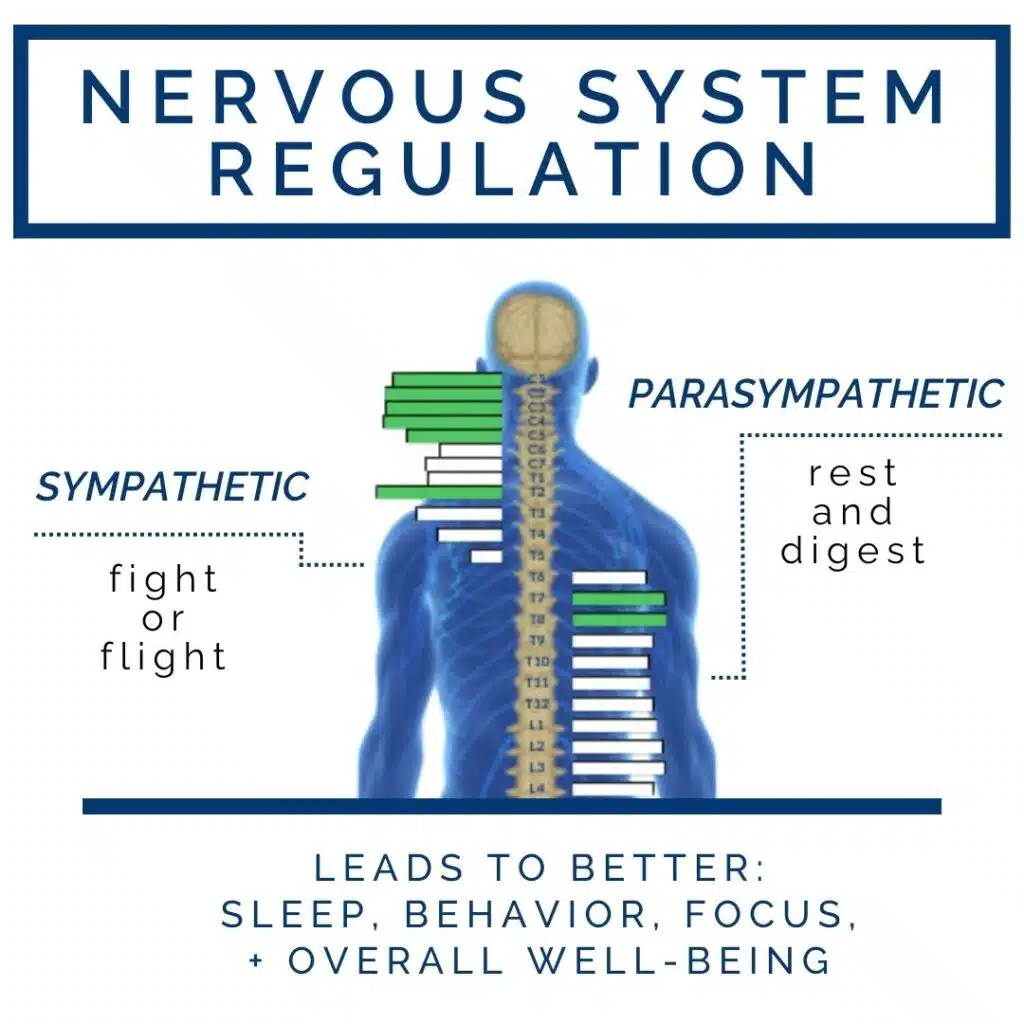 Nervous-System-Regulation-Infographic-PX-1024x1024.jpg