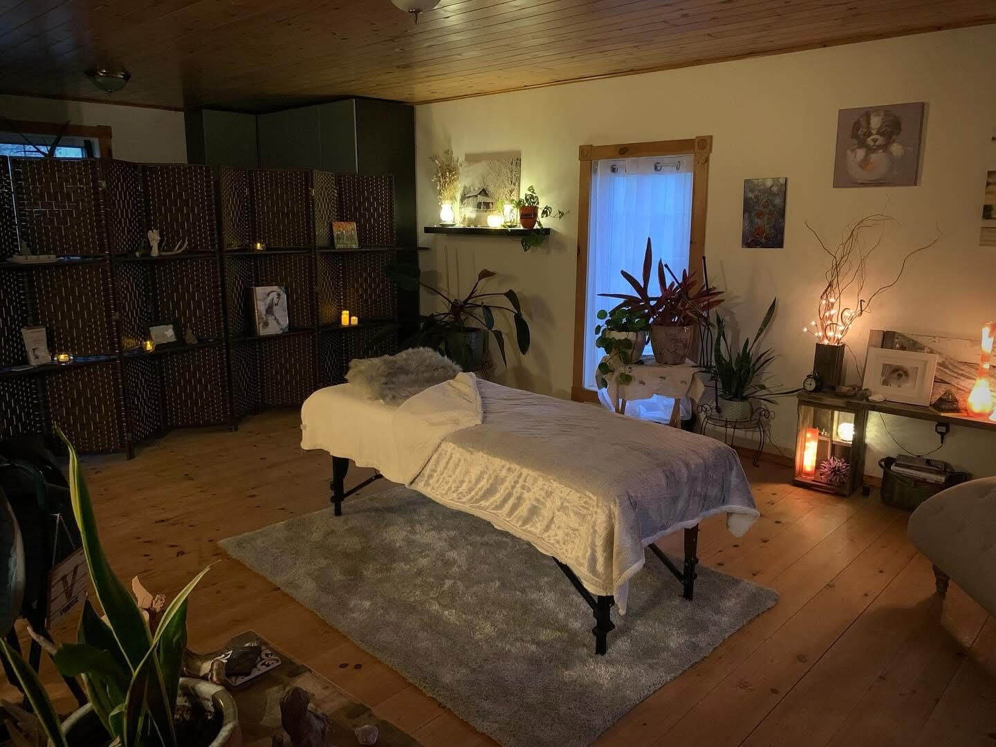 Somatic Experiencing Home Set Up