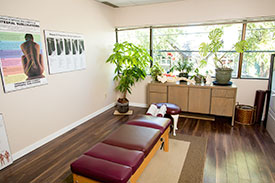 Vancouver chiropractic office