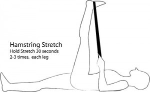 hamstring stretch