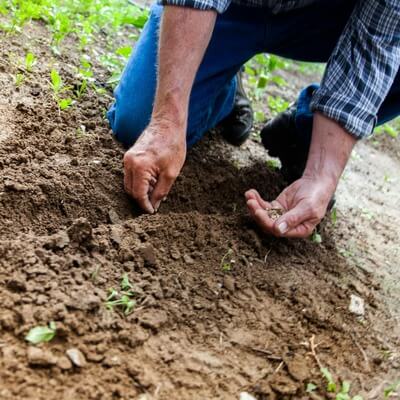 protect your spine gardening