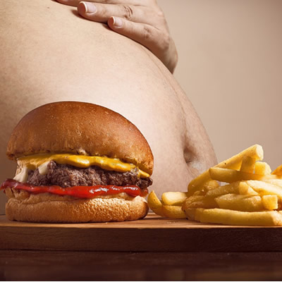 hamburger fries fat tummy