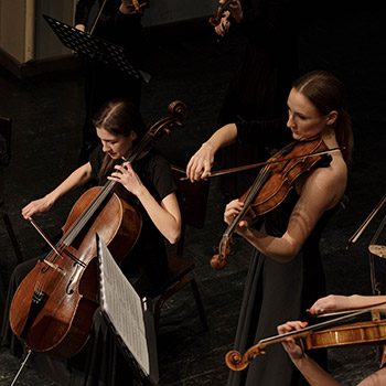 orchestra musicians playing instruments