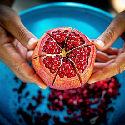 pomegranate fruit