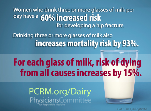 4 Reasons for Elderly People to Drink Milk