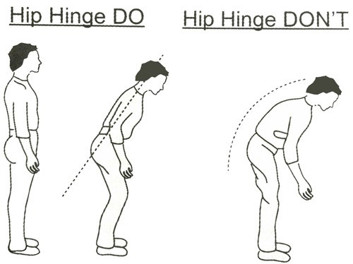 Graphic explaining how to do a proper hip hinge movement. 