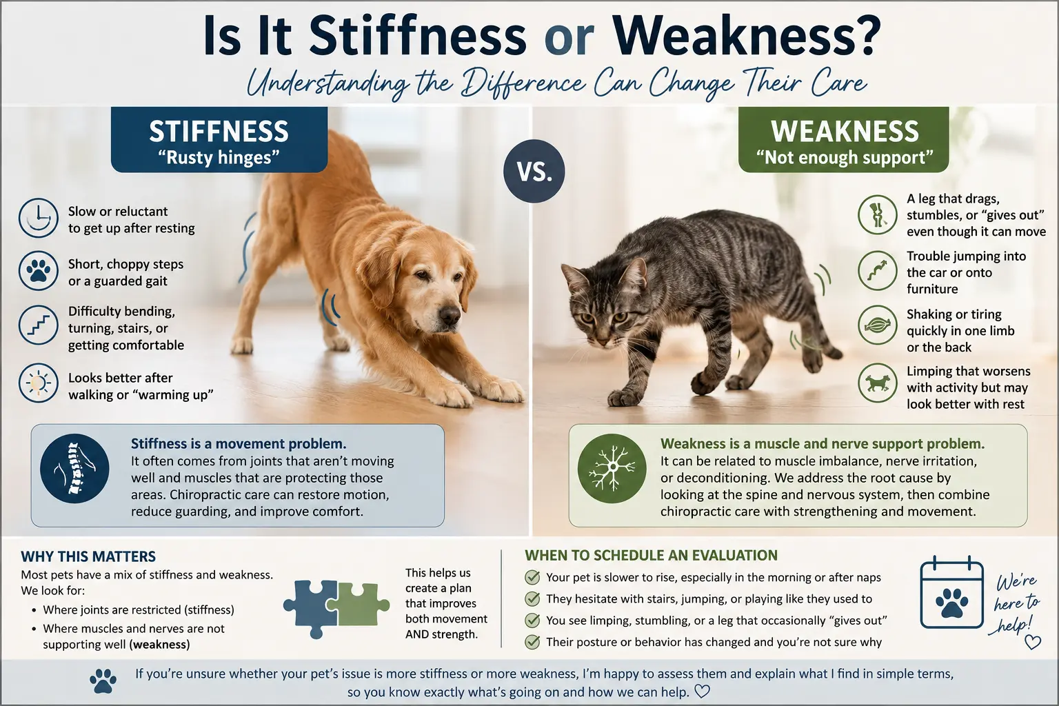 Dr Jessica Paige Weakness vs Stiffness