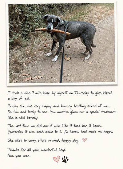 Hazel-Testimonial