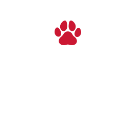Book Online Animals