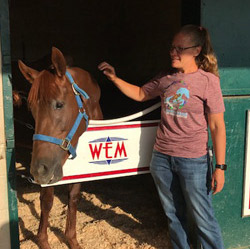 doctor-paige-horse-chiropractic