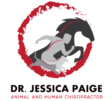 Dr. Jessica Paige logo - Home
