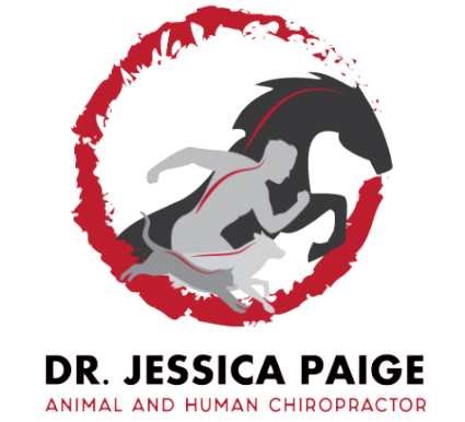 Dr. Jessica Paige logo - Home
