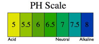 PH Scale