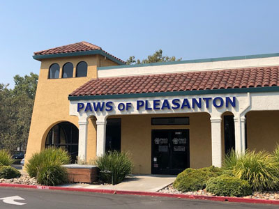 paws-of-pleasanton