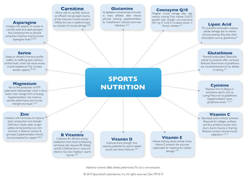 Sports Nutrition Wheel
