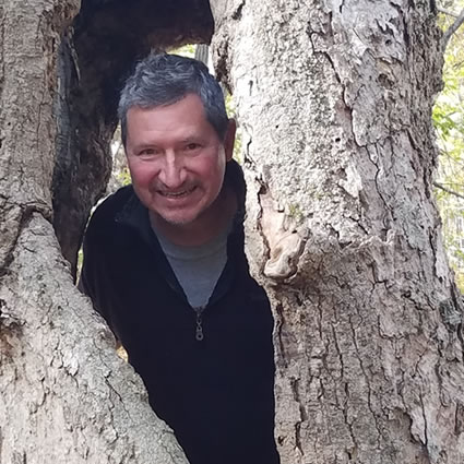 Dr Sawyer head in a tree hole