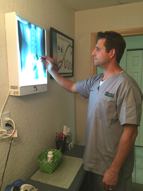 Dr.Ryan Spicuzzo viewing x-rays