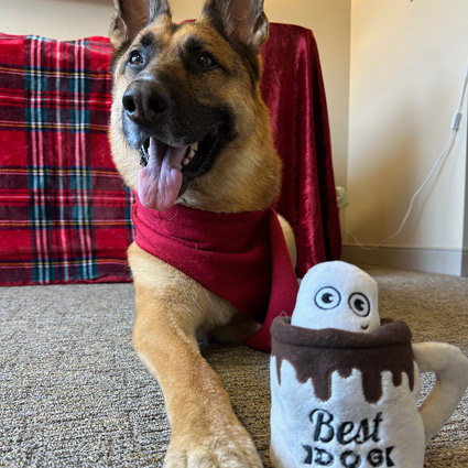 Max with a plush Best Dog toy mug