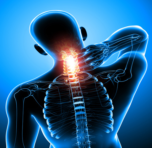 Loveland,CO  Chiropractor Neck Pain