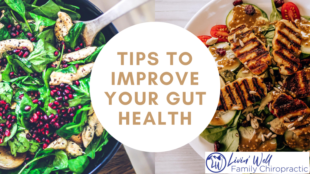 Tips to Improve Your Gut Health