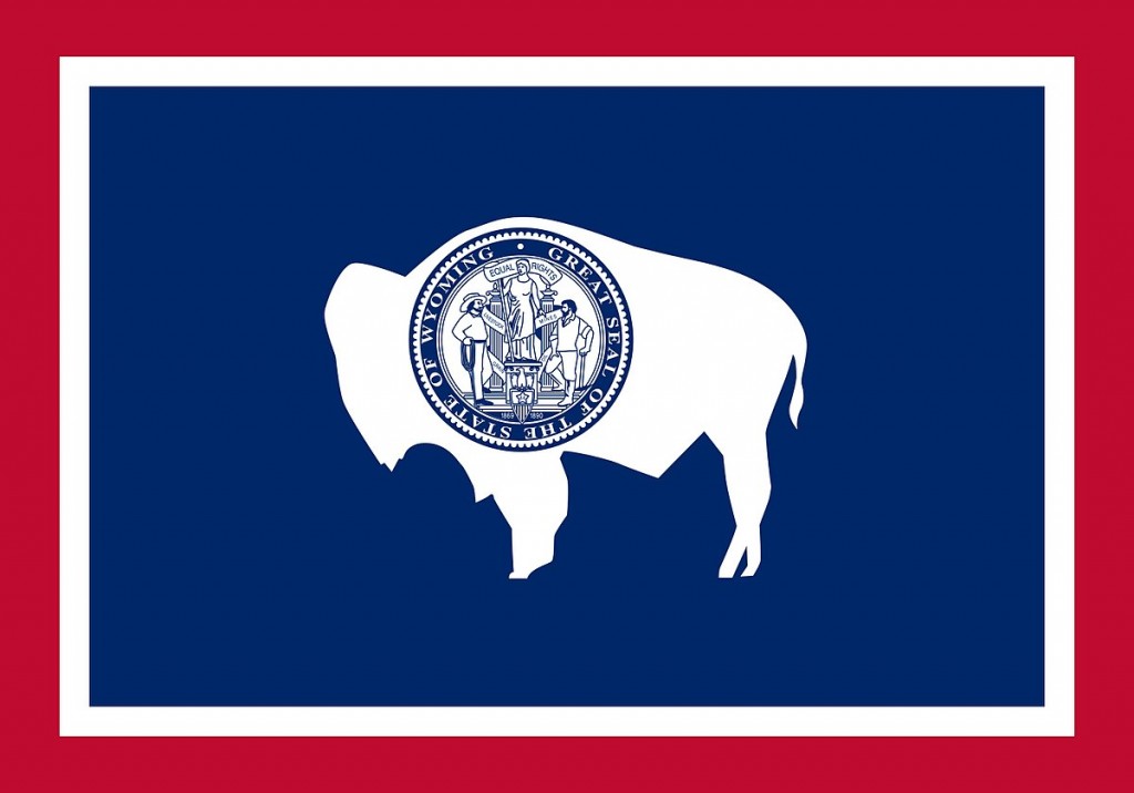 WYO state flag