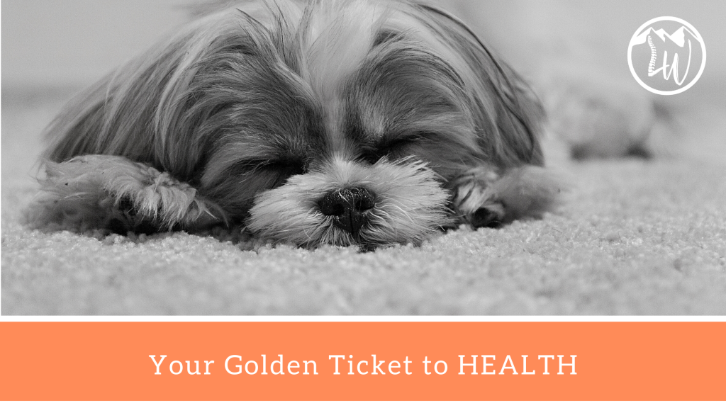 Your Golden Ticket to HEALTH