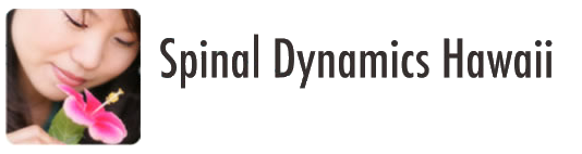 Spinal Dynamics Hawaii, Inc logo - Home