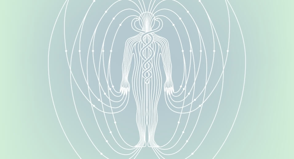 Bio-Energetic Field Testing graphic