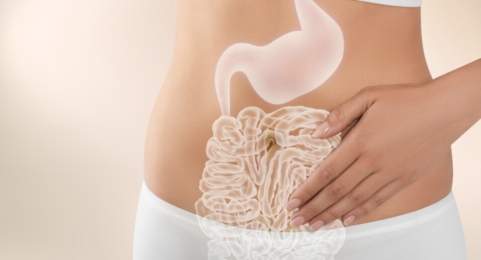 Female with gastrointestinal tract overlay