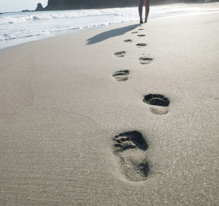 footprints on sandy beach