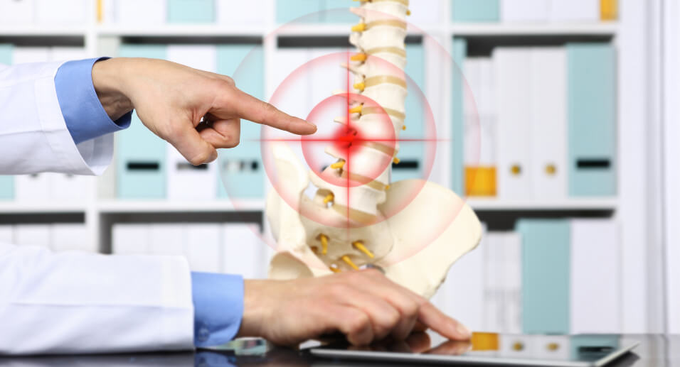 Man in white lab coat pointing at model of a spine